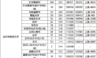 山东中医药大学研究生分数