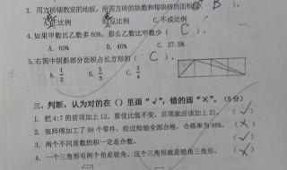 数学六年级下册所有概念和公式