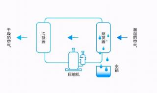 南方回南天除湿防潮的方法