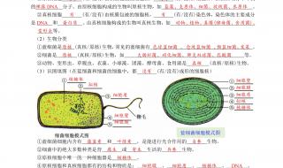 高一生物必修一第一章第一节标题