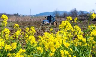 安徽省,庐江县有哪些游玩的风景区或者古迹